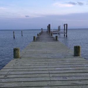 Meet your Posher, Kasey